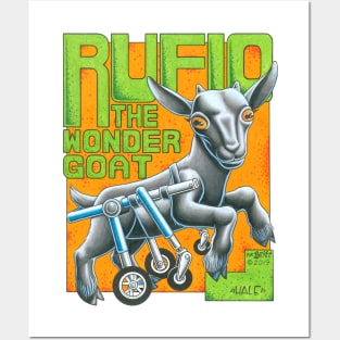 Rufio the Wonder Goat Posters and Art